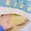 Cát Sa Mạc 15k - Lót Chuồng, Cát Tắm, Decor Lồng Hamster, Bò Sát, Nhím, Gà Rutin - Giá Ưu Đãi 15.000₫ 6