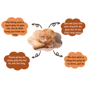 Catnip thanh gỗ cho mèo, cỏ mèo khô, mài răng và móng, lutpet - giá 14.210 VND 3