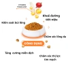 CatSrang 5kg Hạt Mèo Trên 3 Tháng - Vị Gà và Cá Ngừ Thơm Ngon, Giá Ưu Đãi 265k 3