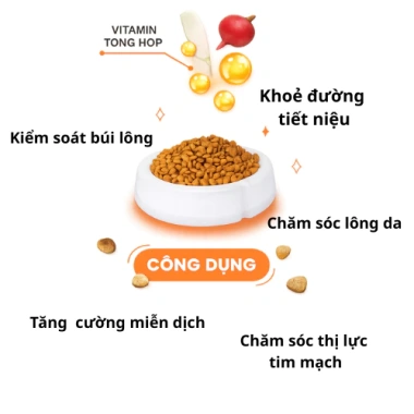 CatSrang 5kg Hạt Mèo Trên 3 Tháng - Vị Gà và Cá Ngừ Thơm Ngon, Giá Ưu Đãi 265k