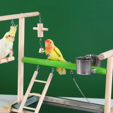 Cầu Đứng Bằng Gỗ Cho Vẹt - Giá Đỡ Vẹt An Toàn, Dễ Lắp Đặt, Kèm Phụ Kiện, 259.000 VND