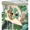 Cầu đứng kèm xiên trái cây cho Vẹt, Chim cảnh, Sóc bay - Giá ưu đãi 120.000đ