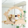 Cầu đứng kèm xiên trái cây cho Vẹt, Chim cảnh, Sóc bay - Giá ưu đãi 120.000đ 2