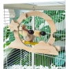 Cầu đứng kèm xiên trái cây cho Vẹt, Chim cảnh, Sóc bay - Giá ưu đãi 120.000đ 3