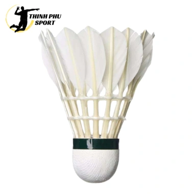 Cầu lông hải yến bạc ống 12 trái - Phân phối chính thức, giá ưu đãi 250k, chuẩn thi đấu và tập luyện