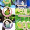 Cầu treo thang tròn cho Vẹt, Chim cảnh, Sóc bay Úc - Giá ưu đãi 110k