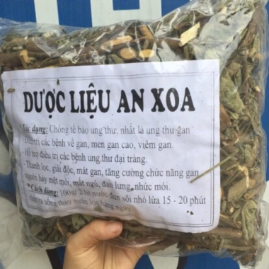 Cây an xoa 1kg - Thảo dược tự nhiên tốt cho gan, hỗ trợ giải độc, giảm mỡ, chỉ 65.000đ