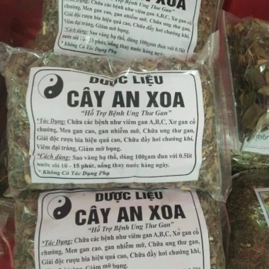 Cây an xoa 1kg - Thảo dược tự nhiên tốt cho gan, hỗ trợ giải độc, giảm mỡ, chỉ 65.000đ