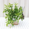 Cây Bình An Để Bàn - Thanh Lọc Không Khí, Tiệm Cây Xanh Lá, Giá 85.000 VNĐ 2
