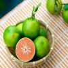 Cây chanh đào thơm ngát, mọng nước, ruột hồng - Giá chỉ 55.000₫ (giảm từ 67.650₫) 9
