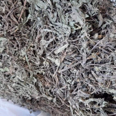 Cây cỏ mực (nhọ nồi) 2kg - Giá chỉ 89.000đ, tươi sạch, dinh dưỡng cho vườn