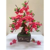 Cây đào, cây mai Tết kẽm nhung handmade - Bonsai rêu Yagarden, giảm giá 517.500₫ 8