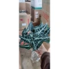 Cây để bàn Môn Quan Âm 25cm - Bụi cây khỏe lá, phong thủy tốt - Giá 16.000₫