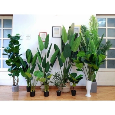 Cây Giả Trang Trí 80cm thiết kế độc đáo - Lá Rùa, Trầu Bà Nam Mỹ, Chuối Thiên Điểu, Môn Quan Âm - Giá ưu đãi 31.000 VND 2
