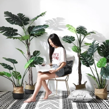 Cây Giả Trang Trí 80cm thiết kế độc đáo - Lá Rùa, Trầu Bà Nam Mỹ, Chuối Thiên Điểu, Môn Quan Âm - Giá ưu đãi 31.000 VND 3
