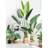 Cây Giả Trang Trí 80cm thiết kế độc đáo - Lá Rùa, Trầu Bà Nam Mỹ, Chuối Thiên Điểu, Môn Quan Âm - Giá ưu đãi 31.000 VND 5