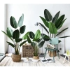Cây Giả Trang Trí 80cm thiết kế độc đáo - Lá Rùa, Trầu Bà Nam Mỹ, Chuối Thiên Điểu, Môn Quan Âm - Giá ưu đãi 31.000 VND 6