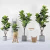 Cây Giả Trang Trí 80cm thiết kế độc đáo - Lá Rùa, Trầu Bà Nam Mỹ, Chuối Thiên Điểu, Môn Quan Âm - Giá ưu đãi 31.000 VND 7