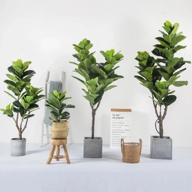 Cây Giả Trang Trí 80cm thiết kế độc đáo - Lá Rùa, Trầu Bà Nam Mỹ, Chuối Thiên Điểu, Môn Quan Âm - Giá ưu đãi 31.000 VND 7