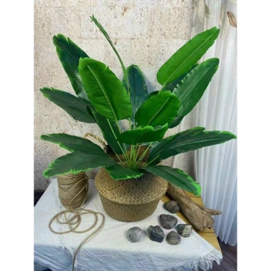 Cây Giả Trang Trí 80cm thiết kế độc đáo - Lá Rùa, Trầu Bà Nam Mỹ, Chuối Thiên Điểu, Môn Quan Âm - Giá ưu đãi 31.000 VND 9