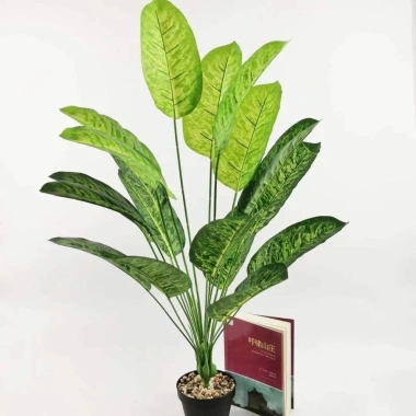 Cây Giả Trang Trí 80cm thiết kế độc đáo - Lá Rùa, Trầu Bà Nam Mỹ, Chuối Thiên Điểu, Môn Quan Âm - Giá ưu đãi 31.000 VND 12