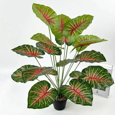 Cây Giả Trang Trí 80cm thiết kế độc đáo - Lá Rùa, Trầu Bà Nam Mỹ, Chuối Thiên Điểu, Môn Quan Âm - Giá ưu đãi 31.000 VND 13