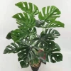 Cây Giả Trang Trí 80cm thiết kế độc đáo - Lá Rùa, Trầu Bà Nam Mỹ, Chuối Thiên Điểu, Môn Quan Âm - Giá ưu đãi 31.000 VND 16
