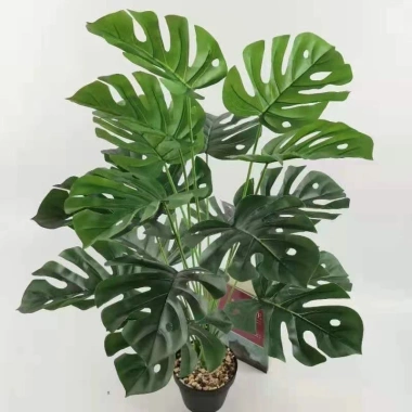 Cây Giả Trang Trí 80cm thiết kế độc đáo - Lá Rùa, Trầu Bà Nam Mỹ, Chuối Thiên Điểu, Môn Quan Âm - Giá ưu đãi 31.000 VND 16