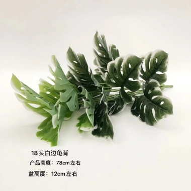Cây Giả Trang Trí 80cm thiết kế độc đáo - Lá Rùa, Trầu Bà Nam Mỹ, Chuối Thiên Điểu, Môn Quan Âm - Giá ưu đãi 31.000 VND 17