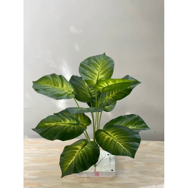Cây Giả Trang Trí 80cm thiết kế độc đáo - Lá Rùa, Trầu Bà Nam Mỹ, Chuối Thiên Điểu, Môn Quan Âm - Giá ưu đãi 31.000 VND 19