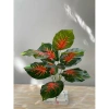 Cây Giả Trang Trí 80cm thiết kế độc đáo - Lá Rùa, Trầu Bà Nam Mỹ, Chuối Thiên Điểu, Môn Quan Âm - Giá ưu đãi 31.000 VND 20