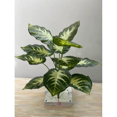 Cây Giả Trang Trí 80cm thiết kế độc đáo - Lá Rùa, Trầu Bà Nam Mỹ, Chuối Thiên Điểu, Môn Quan Âm - Giá ưu đãi 31.000 VND 21
