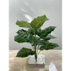 Cây Giả Trang Trí 80cm thiết kế độc đáo - Lá Rùa, Trầu Bà Nam Mỹ, Chuối Thiên Điểu, Môn Quan Âm - Giá ưu đãi 31.000 VND 22
