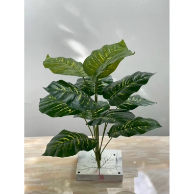 Cây Giả Trang Trí 80cm thiết kế độc đáo - Lá Rùa, Trầu Bà Nam Mỹ, Chuối Thiên Điểu, Môn Quan Âm - Giá ưu đãi 31.000 VND 22
