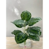 Cây Giả Trang Trí 80cm thiết kế độc đáo - Lá Rùa, Trầu Bà Nam Mỹ, Chuối Thiên Điểu, Môn Quan Âm - Giá ưu đãi 31.000 VND 23