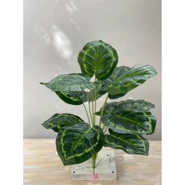 Cây Giả Trang Trí 80cm thiết kế độc đáo - Lá Rùa, Trầu Bà Nam Mỹ, Chuối Thiên Điểu, Môn Quan Âm - Giá ưu đãi 31.000 VND 23