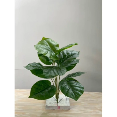 Cây Giả Trang Trí 80cm thiết kế độc đáo - Lá Rùa, Trầu Bà Nam Mỹ, Chuối Thiên Điểu, Môn Quan Âm - Giá ưu đãi 31.000 VND 24