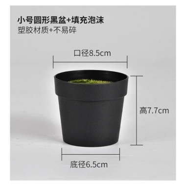 Cây Giả Trang Trí 80cm thiết kế độc đáo - Lá Rùa, Trầu Bà Nam Mỹ, Chuối Thiên Điểu, Môn Quan Âm - Giá ưu đãi 31.000 VND 26