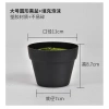 Cây Giả Trang Trí 80cm thiết kế độc đáo - Lá Rùa, Trầu Bà Nam Mỹ, Chuối Thiên Điểu, Môn Quan Âm - Giá ưu đãi 31.000 VND 27