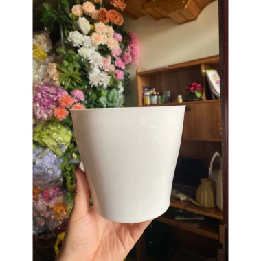 Cây Giả Trang Trí 80cm thiết kế độc đáo - Lá Rùa, Trầu Bà Nam Mỹ, Chuối Thiên Điểu, Môn Quan Âm - Giá ưu đãi 31.000 VND 29