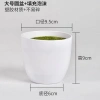 Cây Giả Trang Trí 80cm thiết kế độc đáo - Lá Rùa, Trầu Bà Nam Mỹ, Chuối Thiên Điểu, Môn Quan Âm - Giá ưu đãi 31.000 VND 30