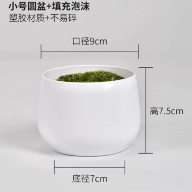 Cây Giả Trang Trí 80cm thiết kế độc đáo - Lá Rùa, Trầu Bà Nam Mỹ, Chuối Thiên Điểu, Môn Quan Âm - Giá ưu đãi 31.000 VND 31