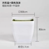Cây Giả Trang Trí 80cm thiết kế độc đáo - Lá Rùa, Trầu Bà Nam Mỹ, Chuối Thiên Điểu, Môn Quan Âm - Giá ưu đãi 31.000 VND 32