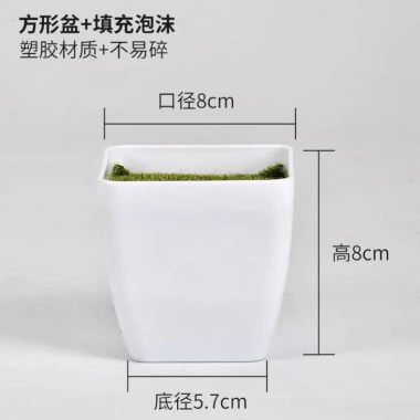 Cây Giả Trang Trí 80cm thiết kế độc đáo - Lá Rùa, Trầu Bà Nam Mỹ, Chuối Thiên Điểu, Môn Quan Âm - Giá ưu đãi 31.000 VND 32