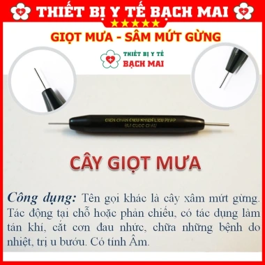 Cây Giọt Mưa Diện Chẩn Xâm Mứt Gừng - Giảm Giá Đặc Biệt 63.000đ, Tăng Cường Sức Khỏe, Thư Giãn Tự Nhiên
