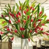 Cây hoa hạnh phúc - cây cảnh trong nhà, giảm 23k, chỉ 35.000đ, không gian xanh tươi 6