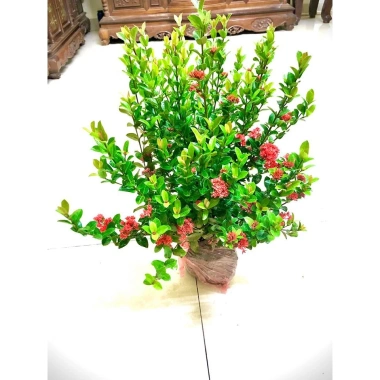 Cây hoa mẫu đơn lá nhỏ trắng cao 60-70cm - Giá 172.380₫ giảm sâu, trang trí nội thất