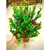 Cây hoa mẫu đơn lá nhỏ trắng cao 60-70cm - Giá 172.380₫ giảm sâu, trang trí nội thất 3