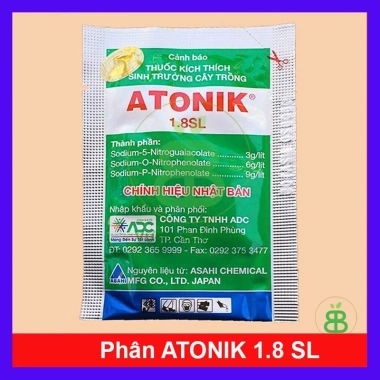 Cây hoa nhài ta kép lớn - Hoa rực rỡ, hương thơm mát, ban công, sân vườn, giá 12.000 VND