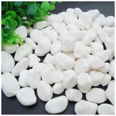 Cây hương thảo Rosemary - Đuổi muỗi, tỏa hương nhẹ, giảm 20% chỉ 32.000 VND 10 Cây hương thảo Rosemary - Đuổi muỗi, tỏa hương nhẹ, giảm 20% chỉ 32.000 VND 10